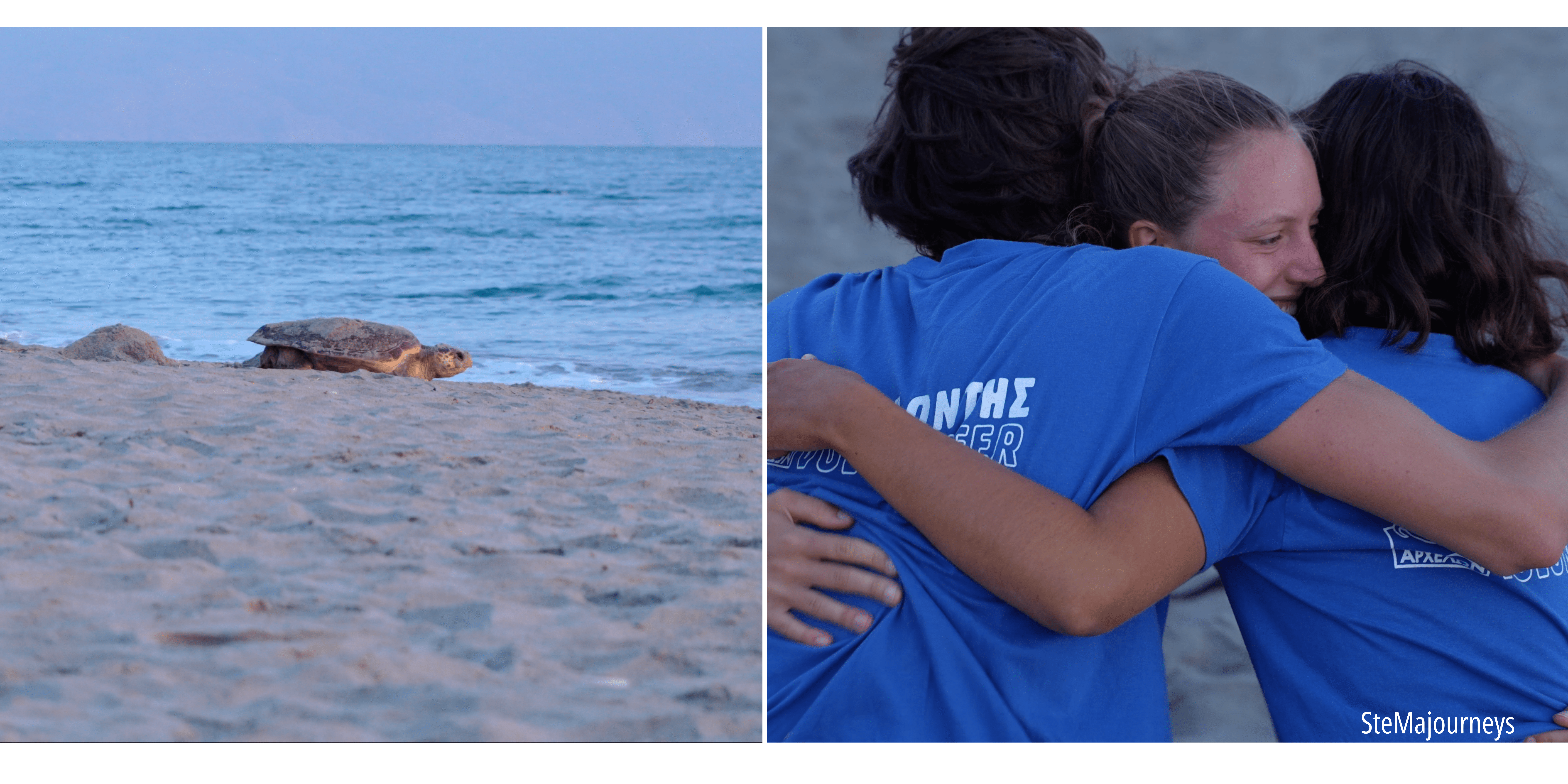 Sea turtle nesting and ARCHELON volunteers hugging