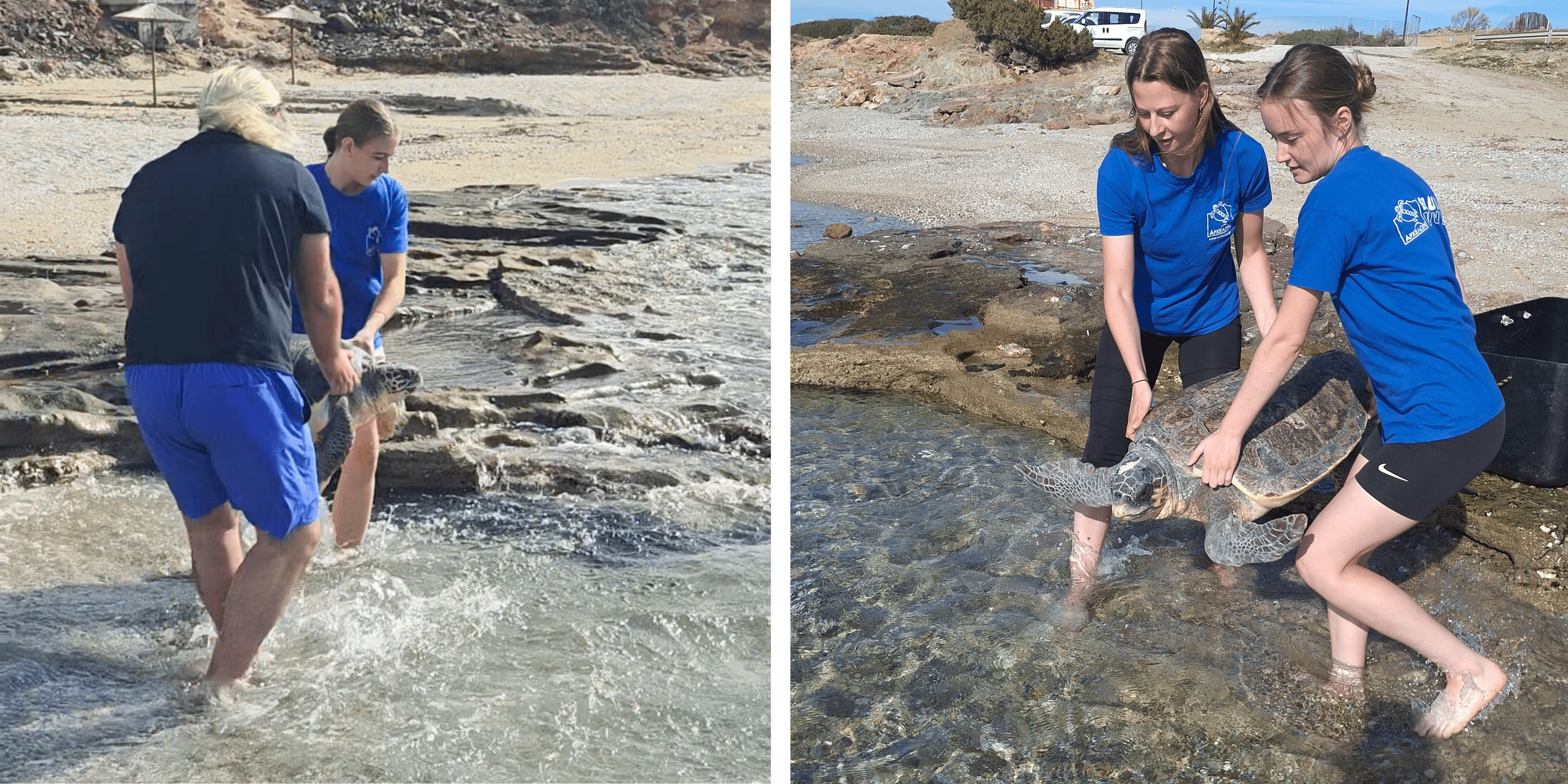 Aktaia & Herbert prer (2).png