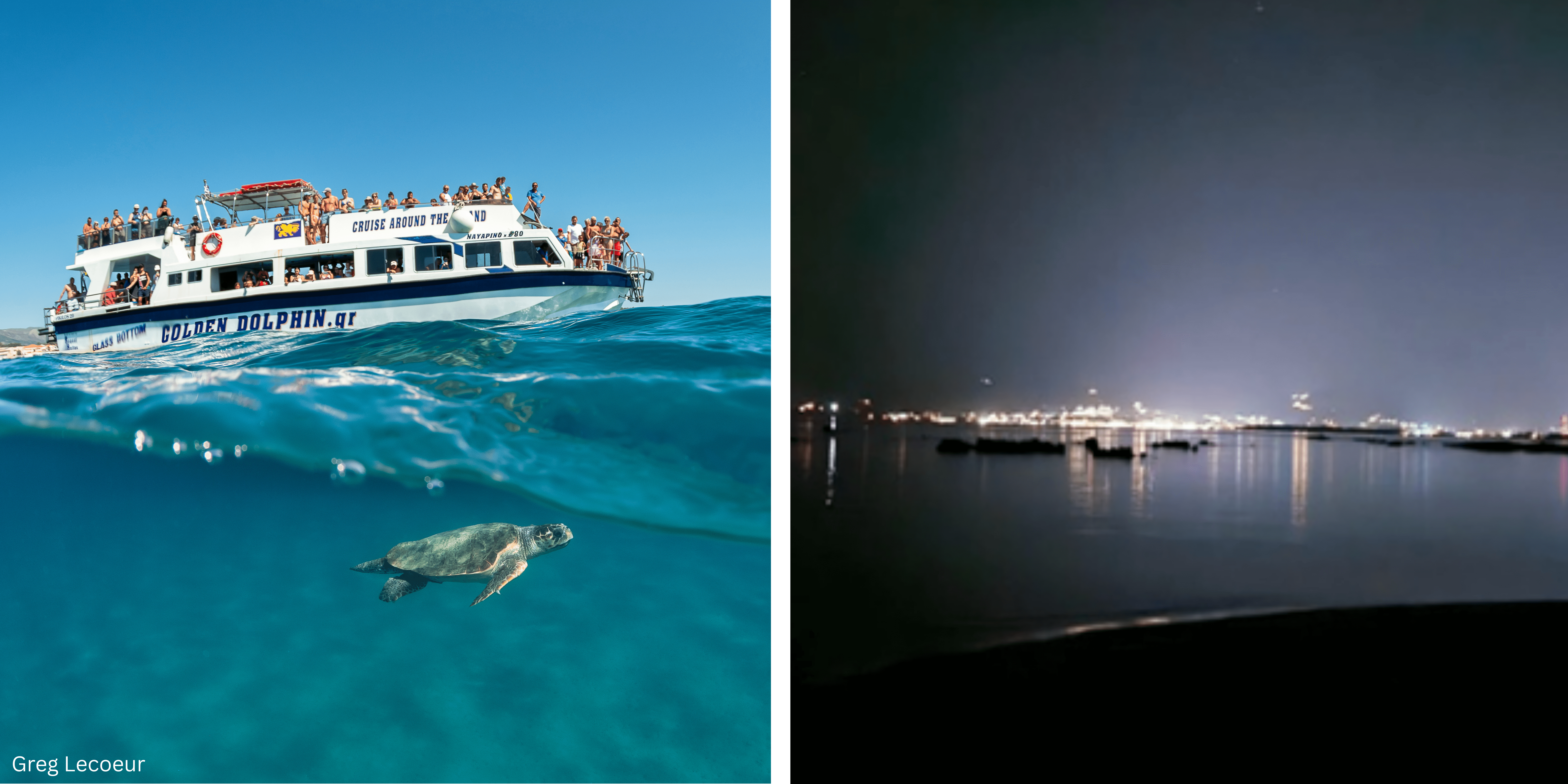 Aktaia & Herbert prer.png