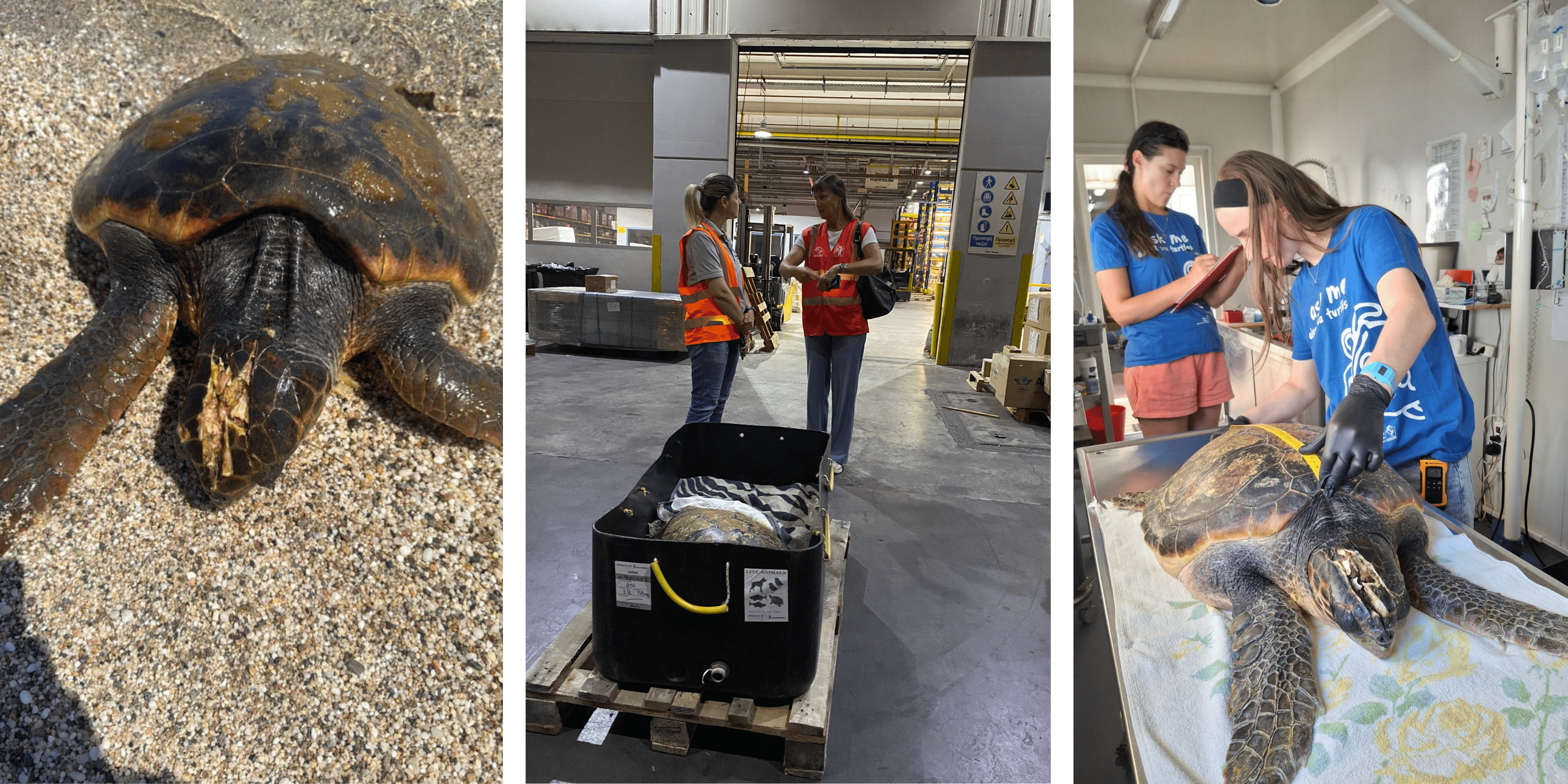 Aktaia's arrival.png