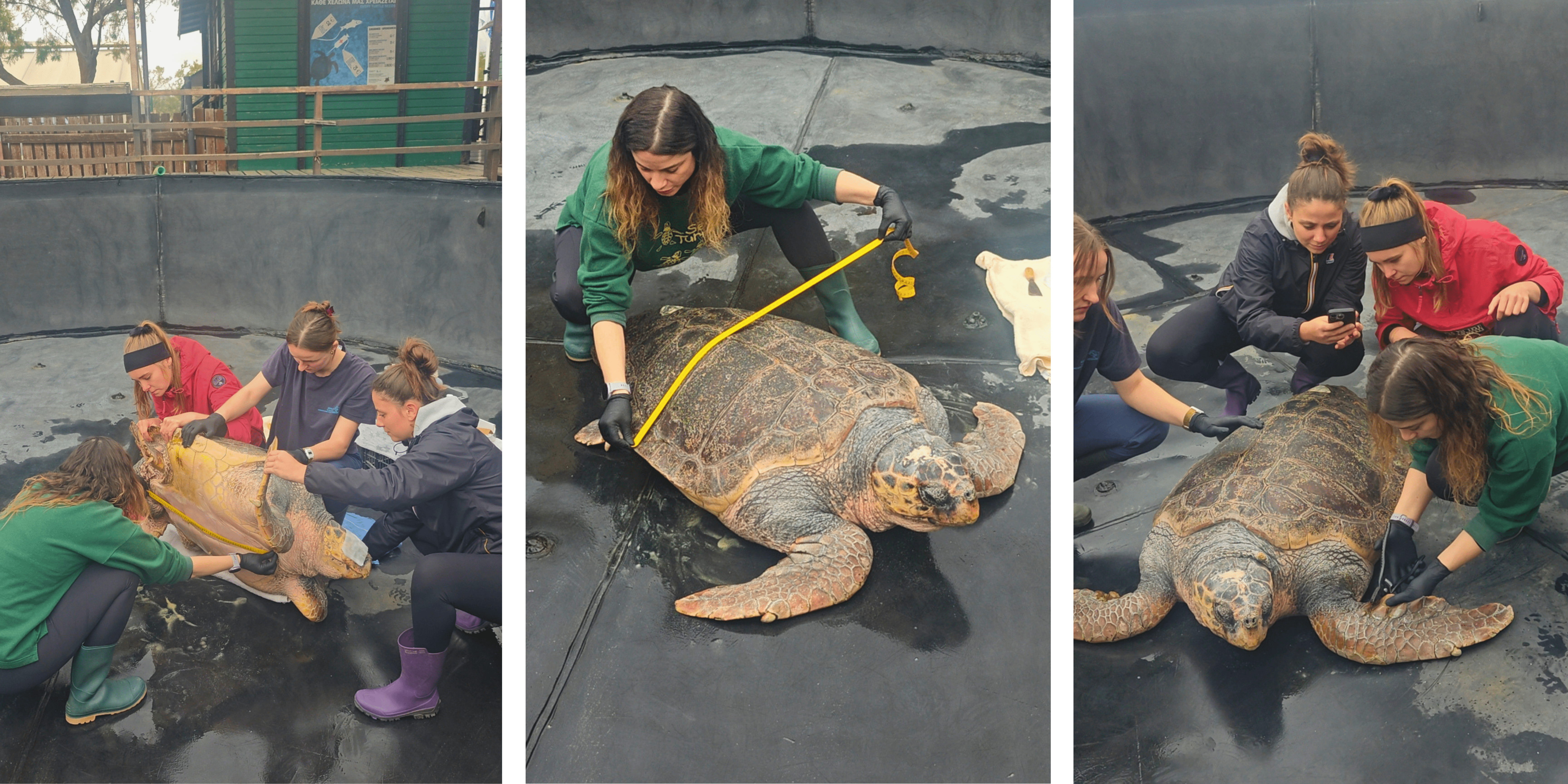 EVEREST preparations.png