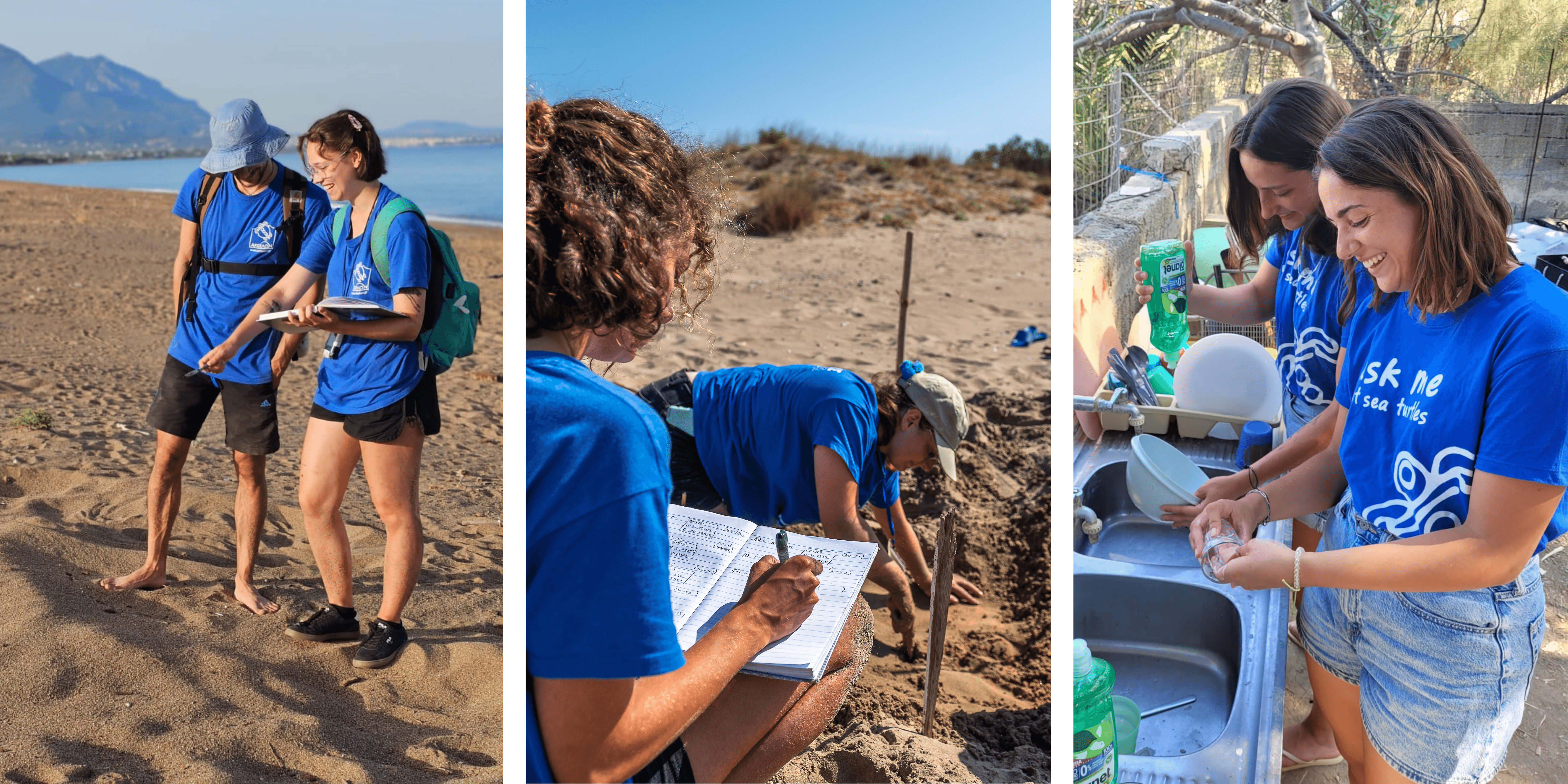 ARCHELON volunteers