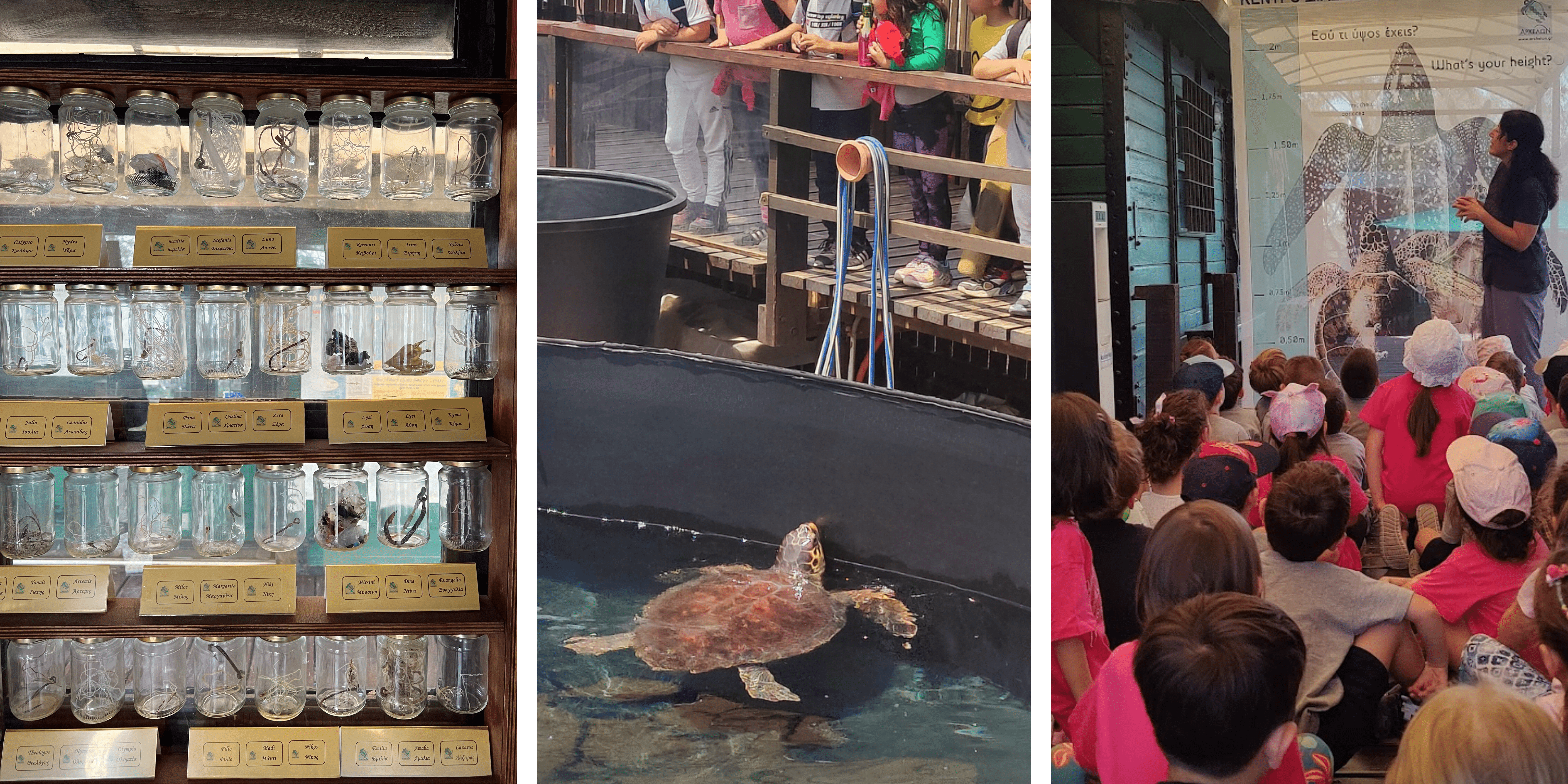 A collage of 3 photos of school visits at the rescue centre