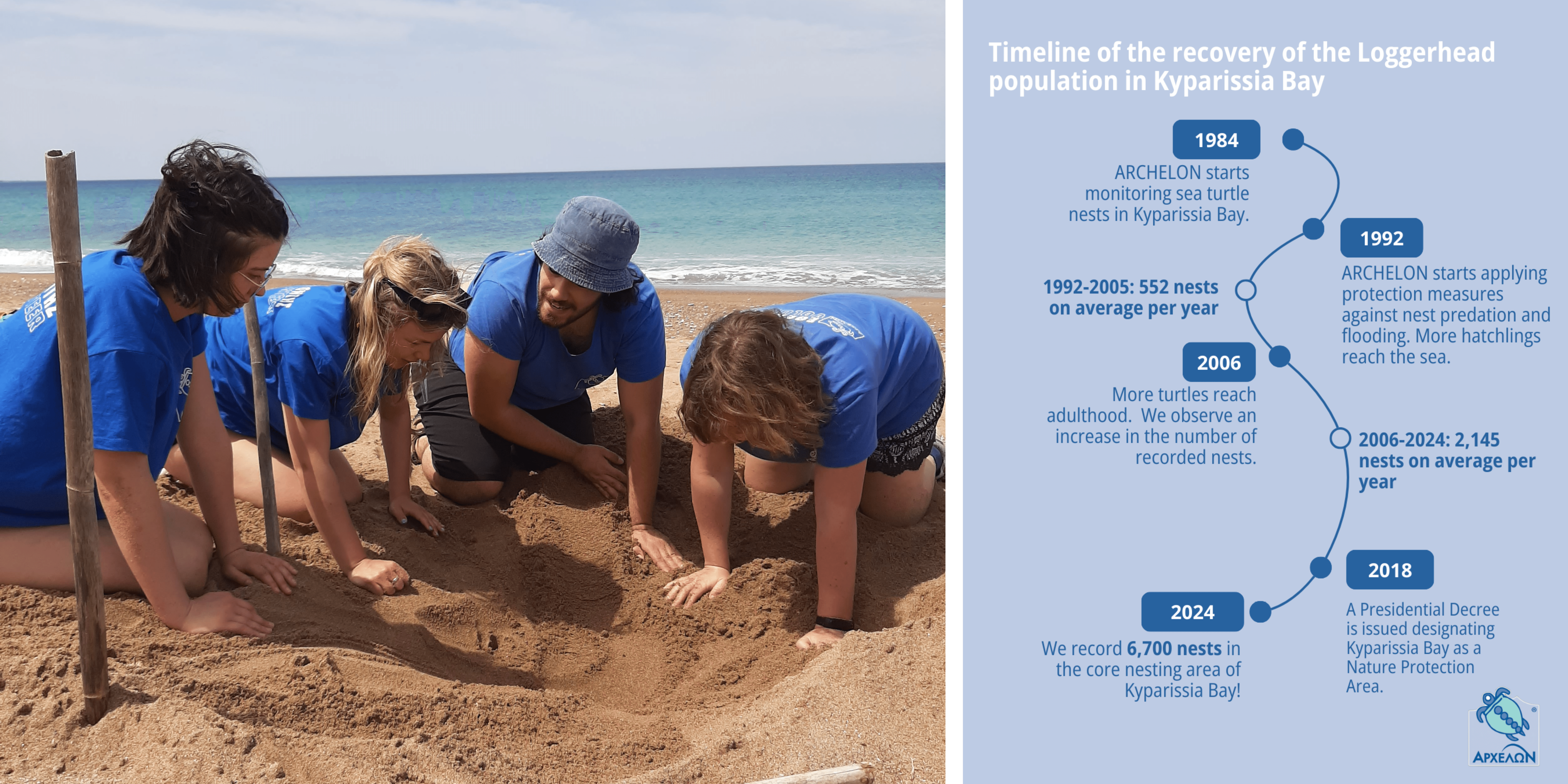 Graph showing the sea turtle nesting in Kyparissia Bay over the years