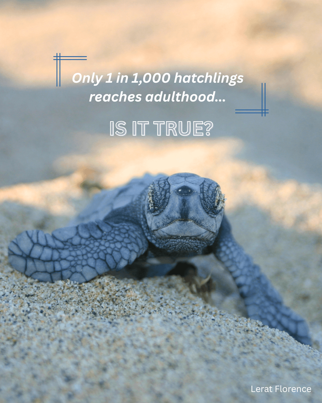 Is it REALLY 1 in 1,000.png