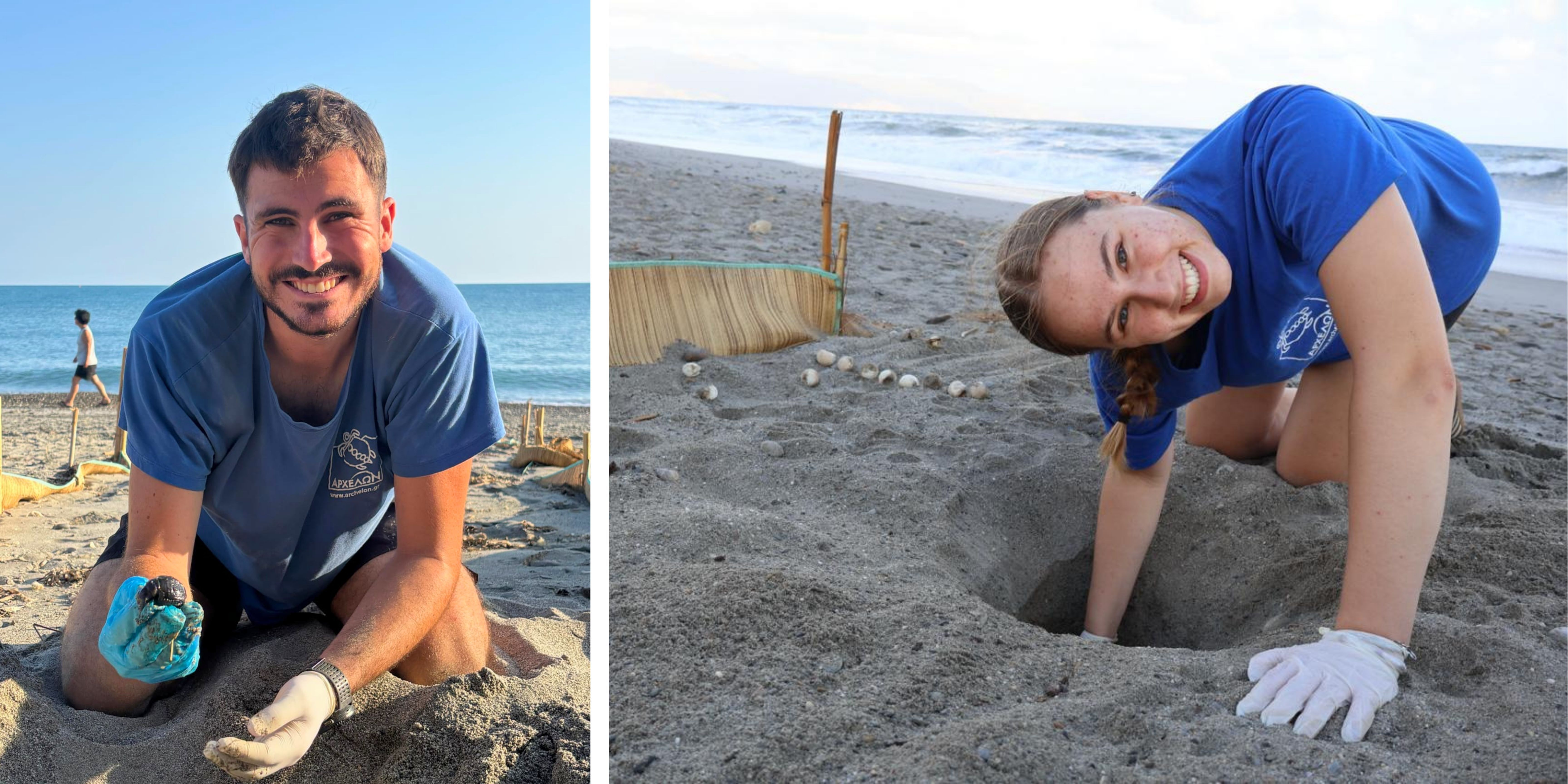 NEST EXCAVATION.jpg