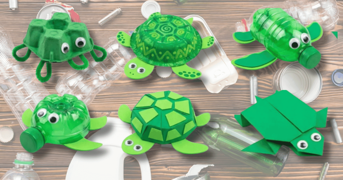 OCTOBER 4 TURTLES (1).png
