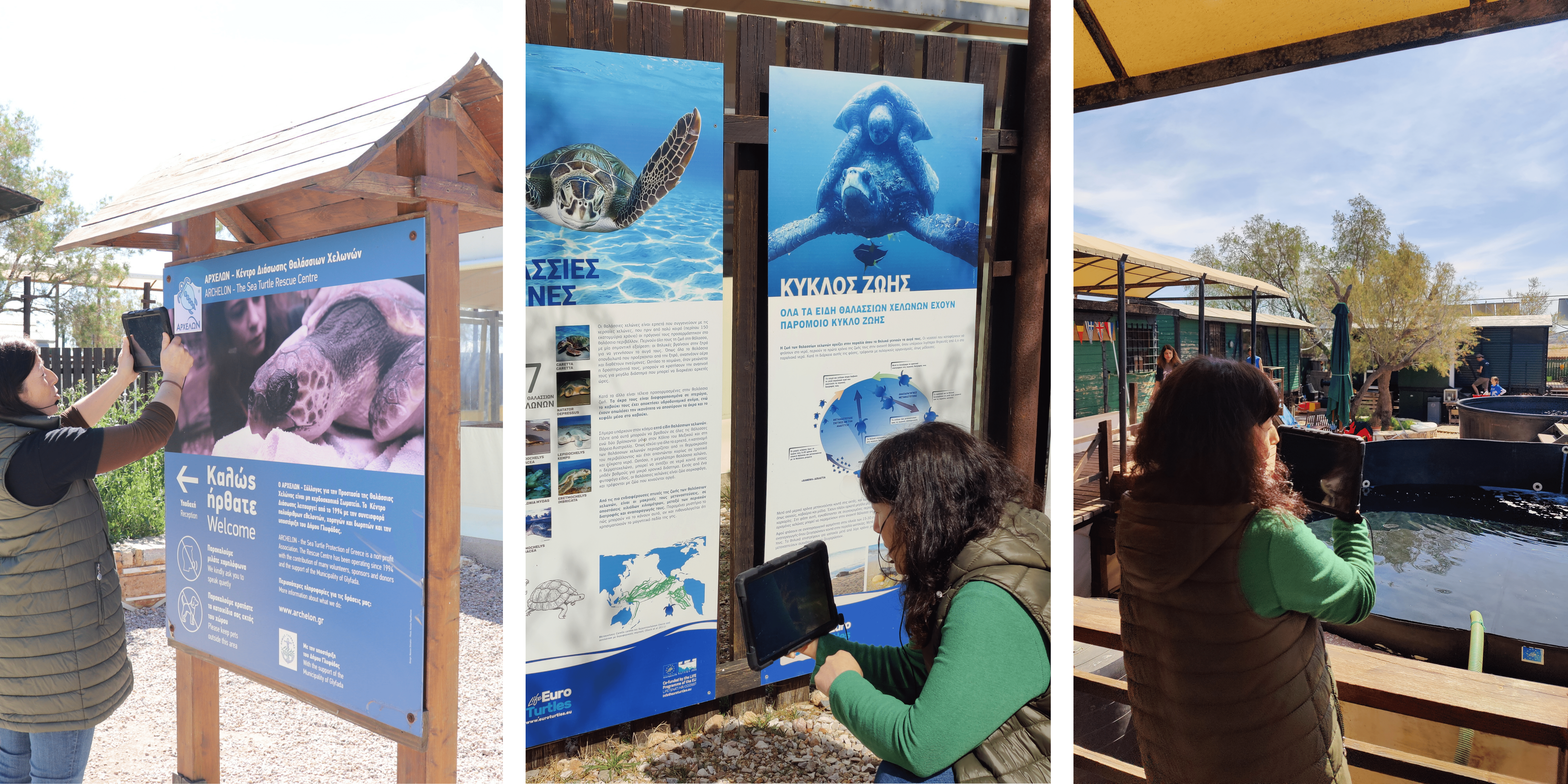 Three pictures showing the online school tours of the Rescue Centre of ARCHELON.