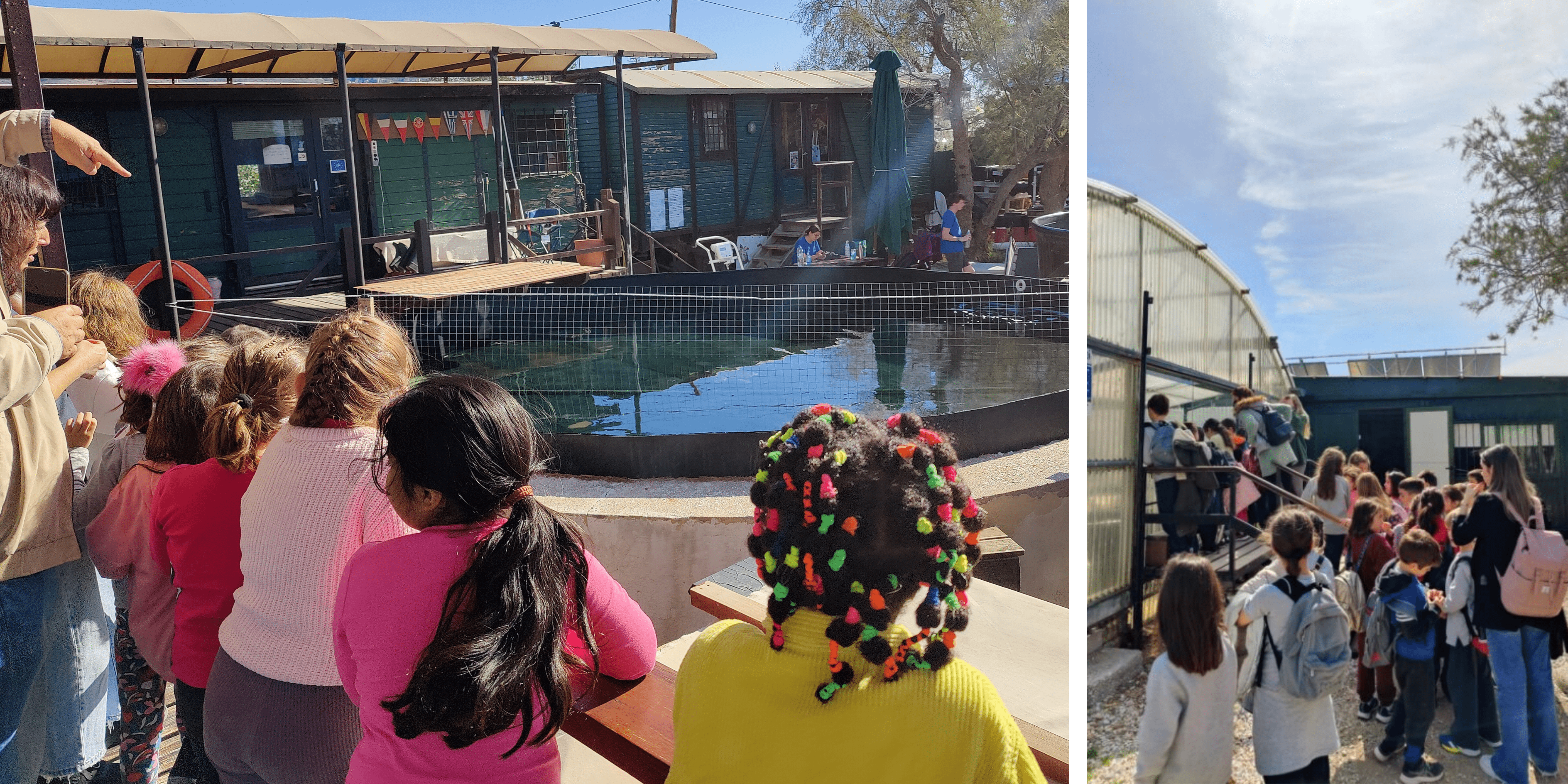 Photo of Sea Turtle Rescue Centre during a school visit