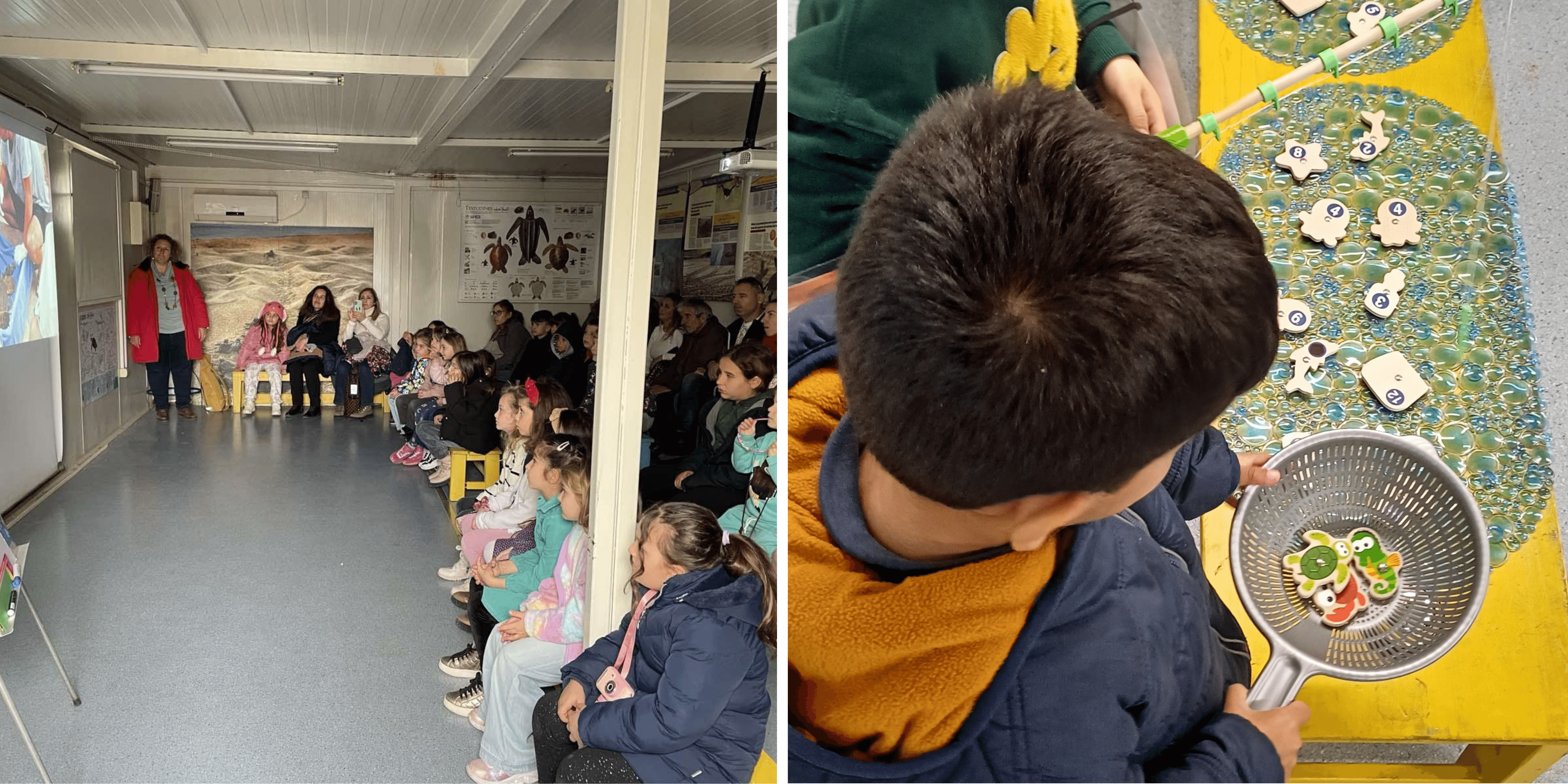 School-visit-at-ARCHELON's-Rescue-Centre.png
