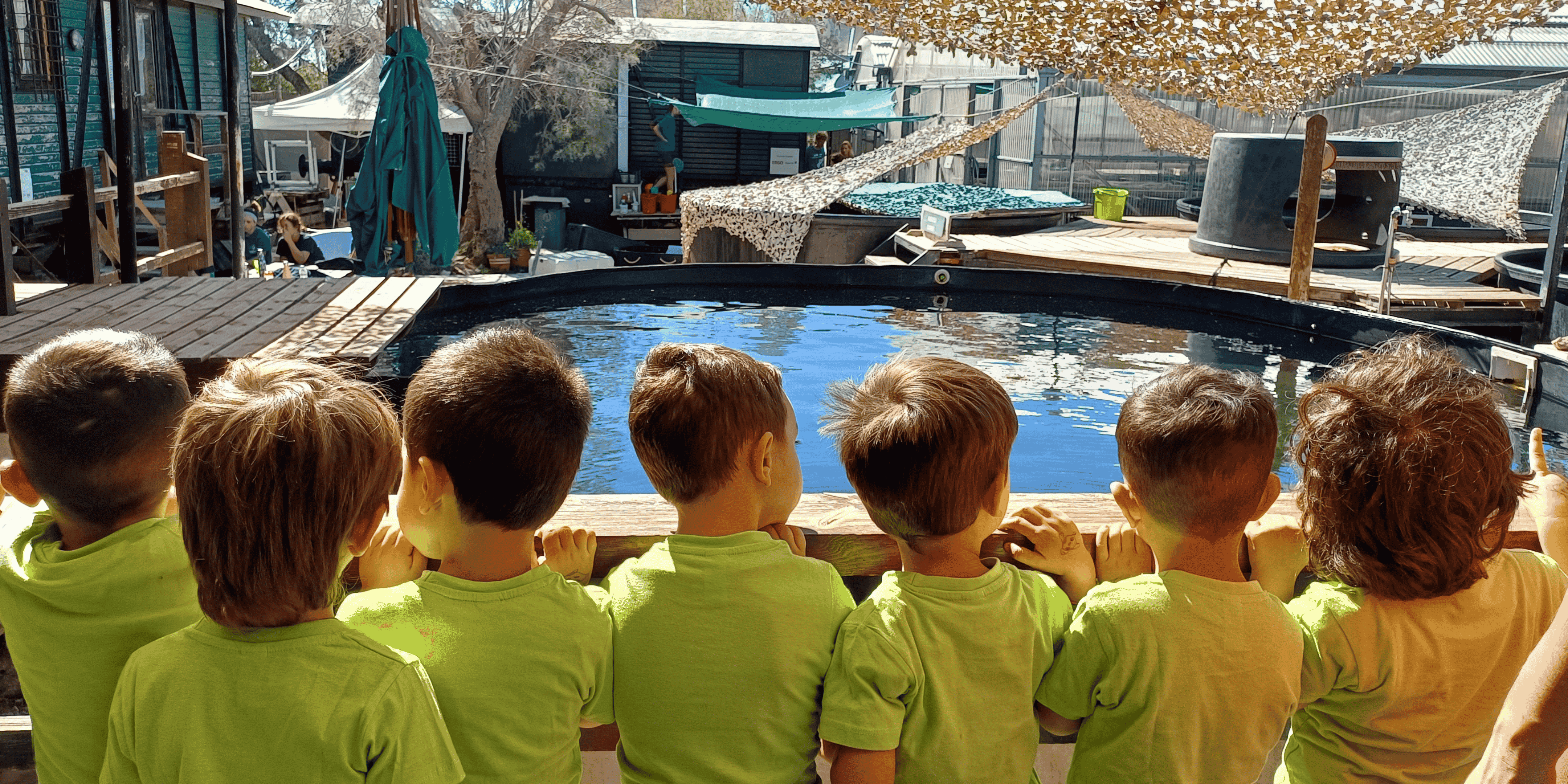 A school visit at the sea turtle Rescue Centre in Athens 