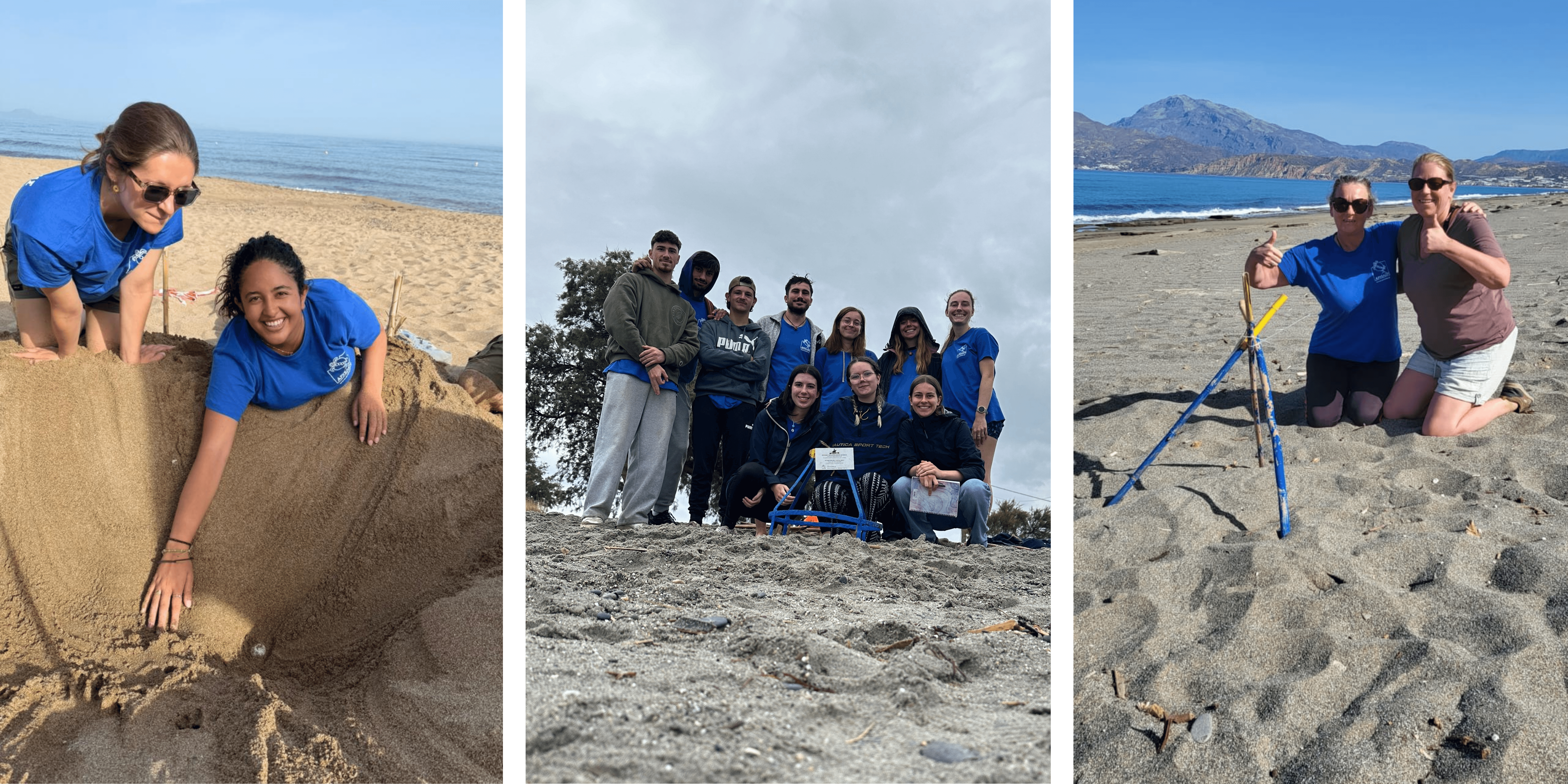 The first sea turtle nests protected by ARCHELON in Rethymno, Chania and Messara