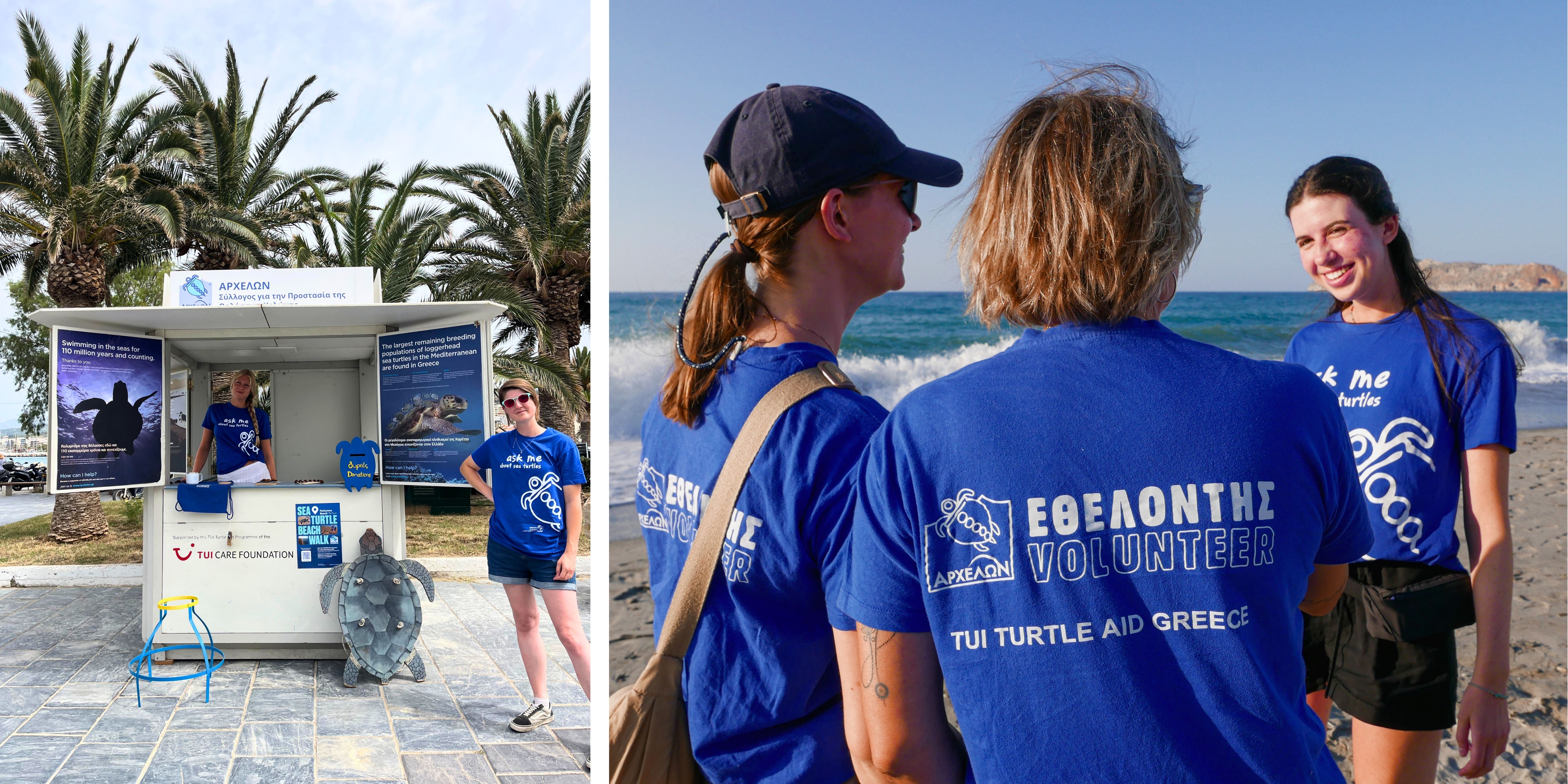 TUI TURTLE AID GR.jpg