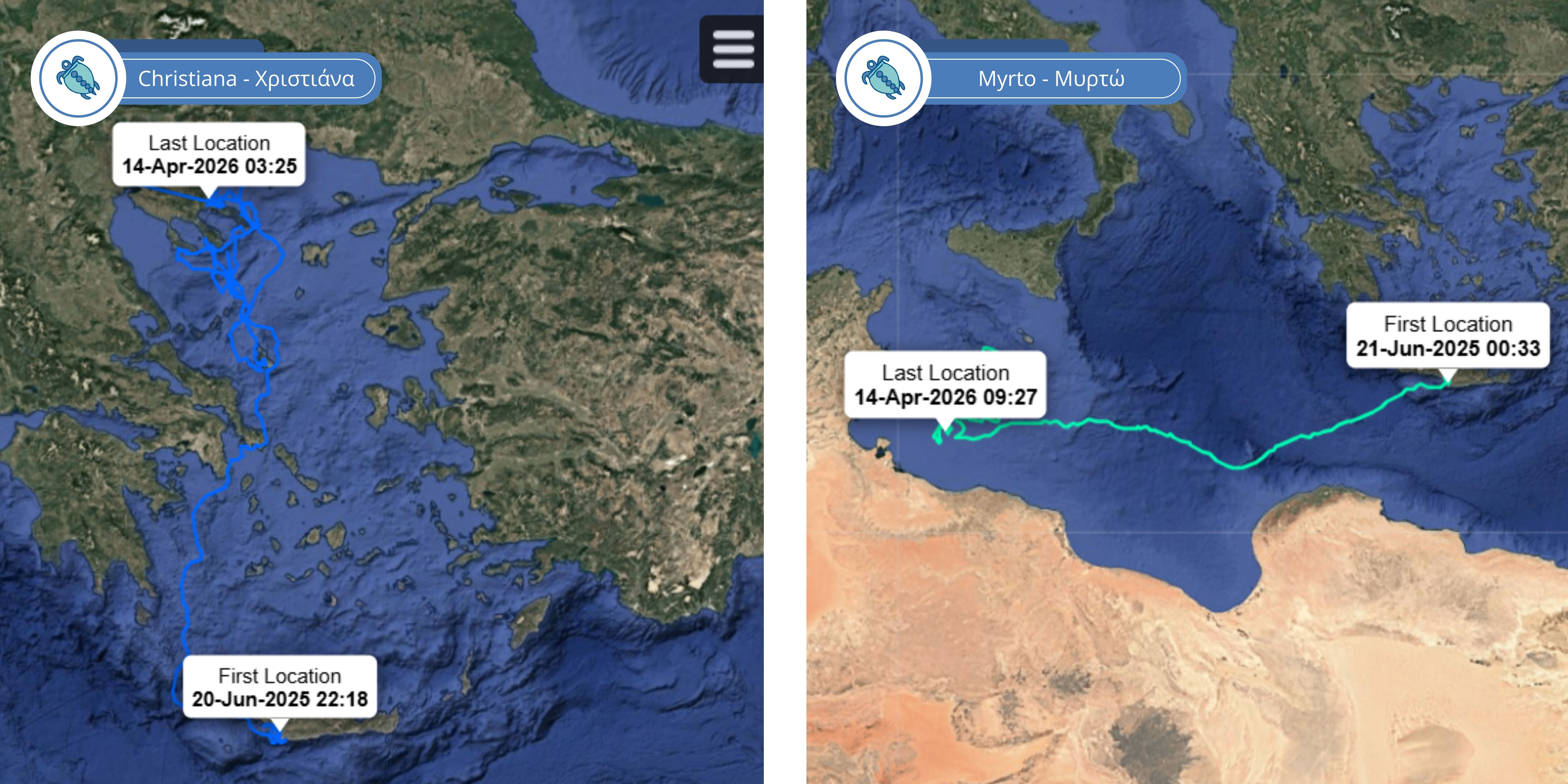 ΧΕΛΩΝΕΣ (1).jpg