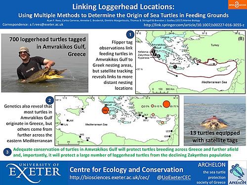 amvrakikos-gulf-an-important-area-linking-loggerhead-habitats-in-the-mediterranean-Amvrak_Tweeter.jpg