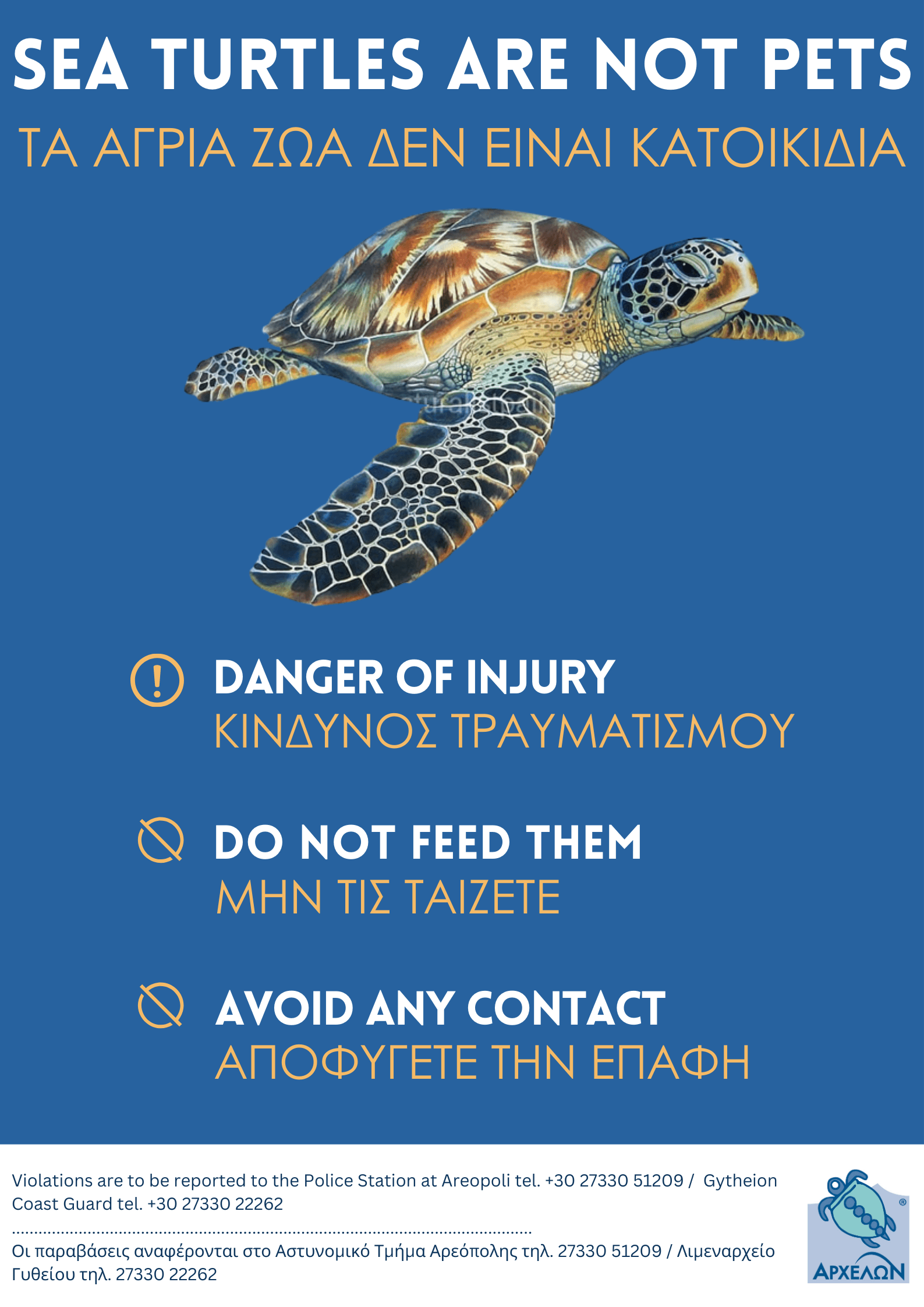 attention-visitors=sea-turtles=are-not-pets.png