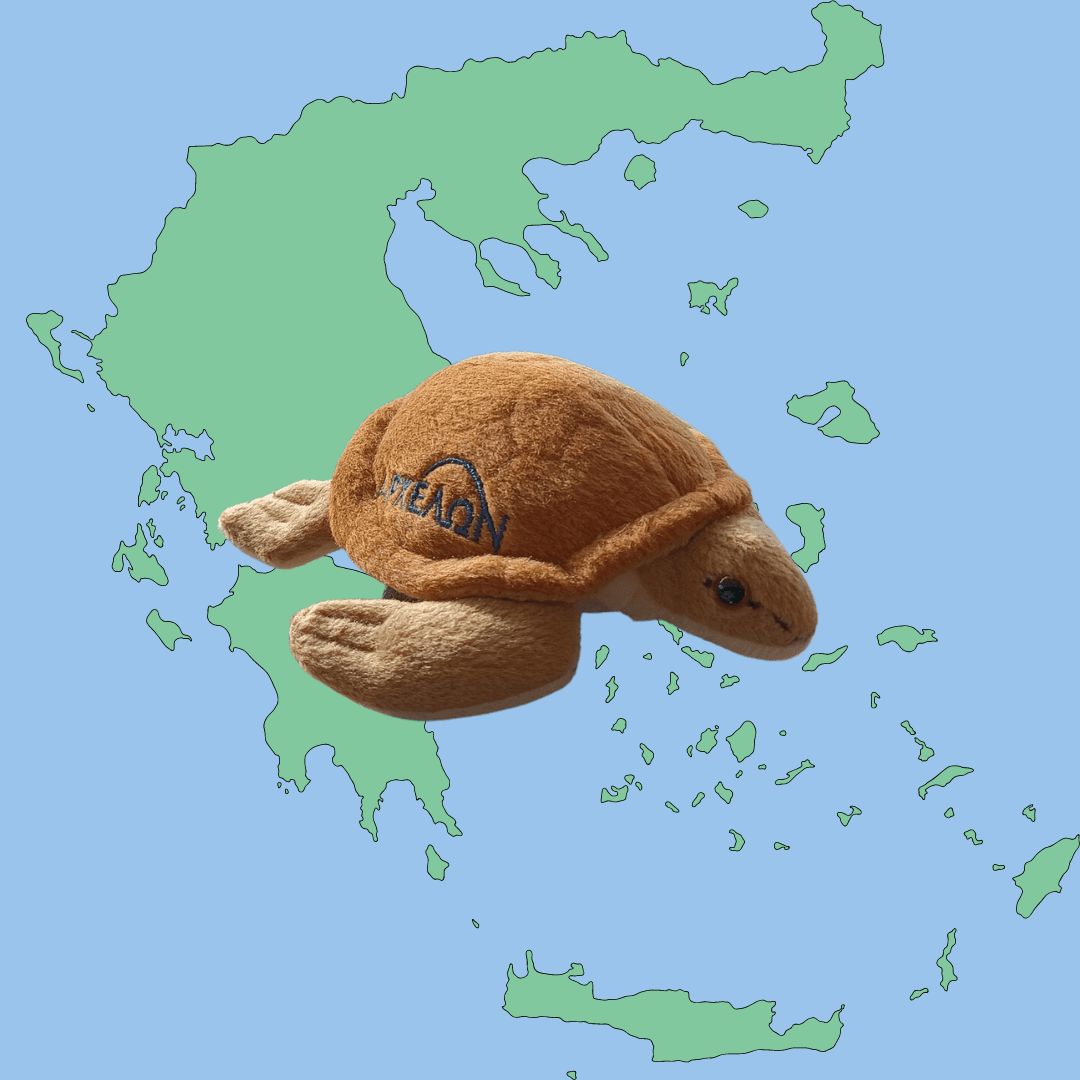 Truffle the ARCHELON turtle toy in a map of Greece