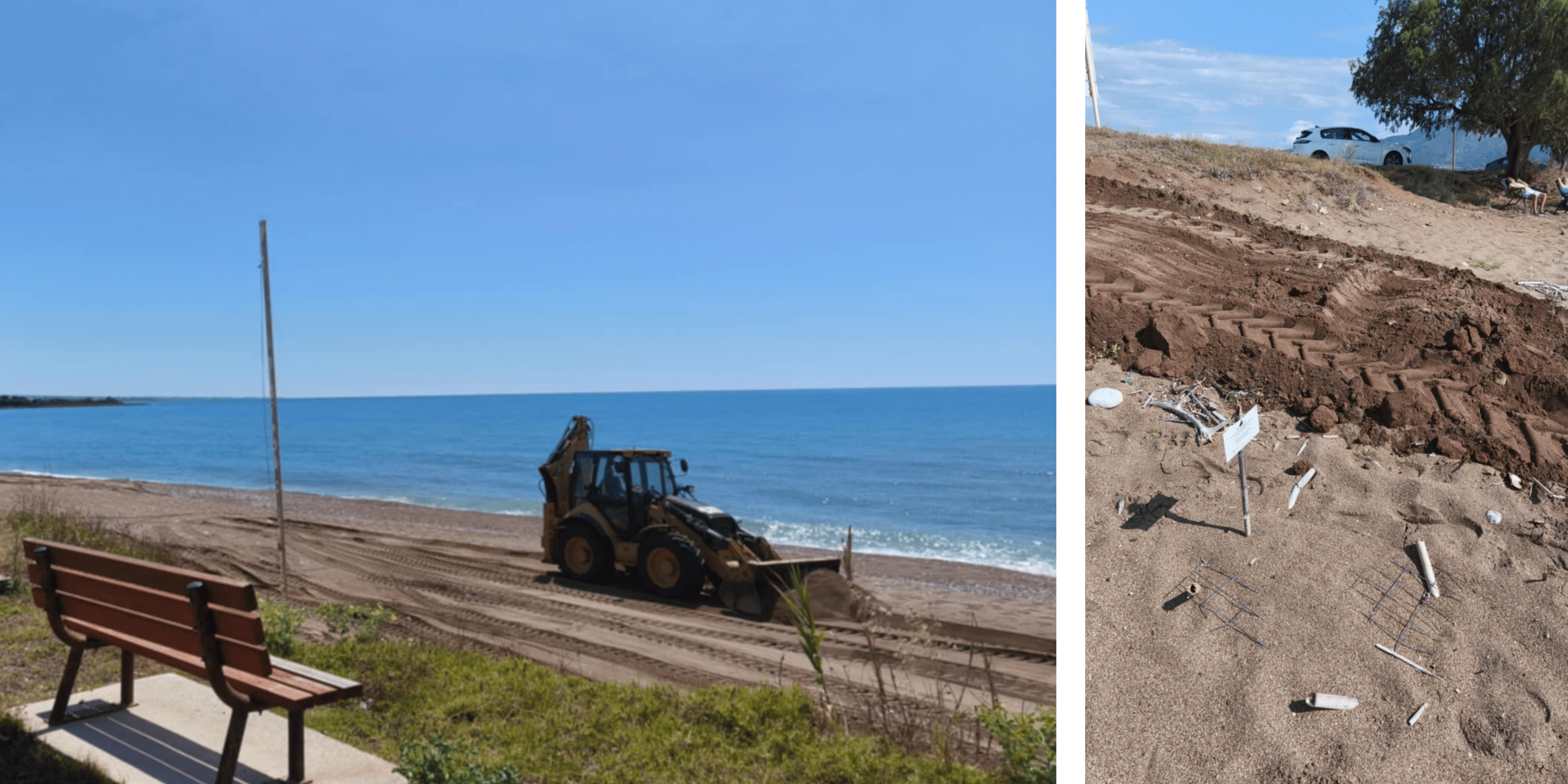 heavy machinery on nesting beach