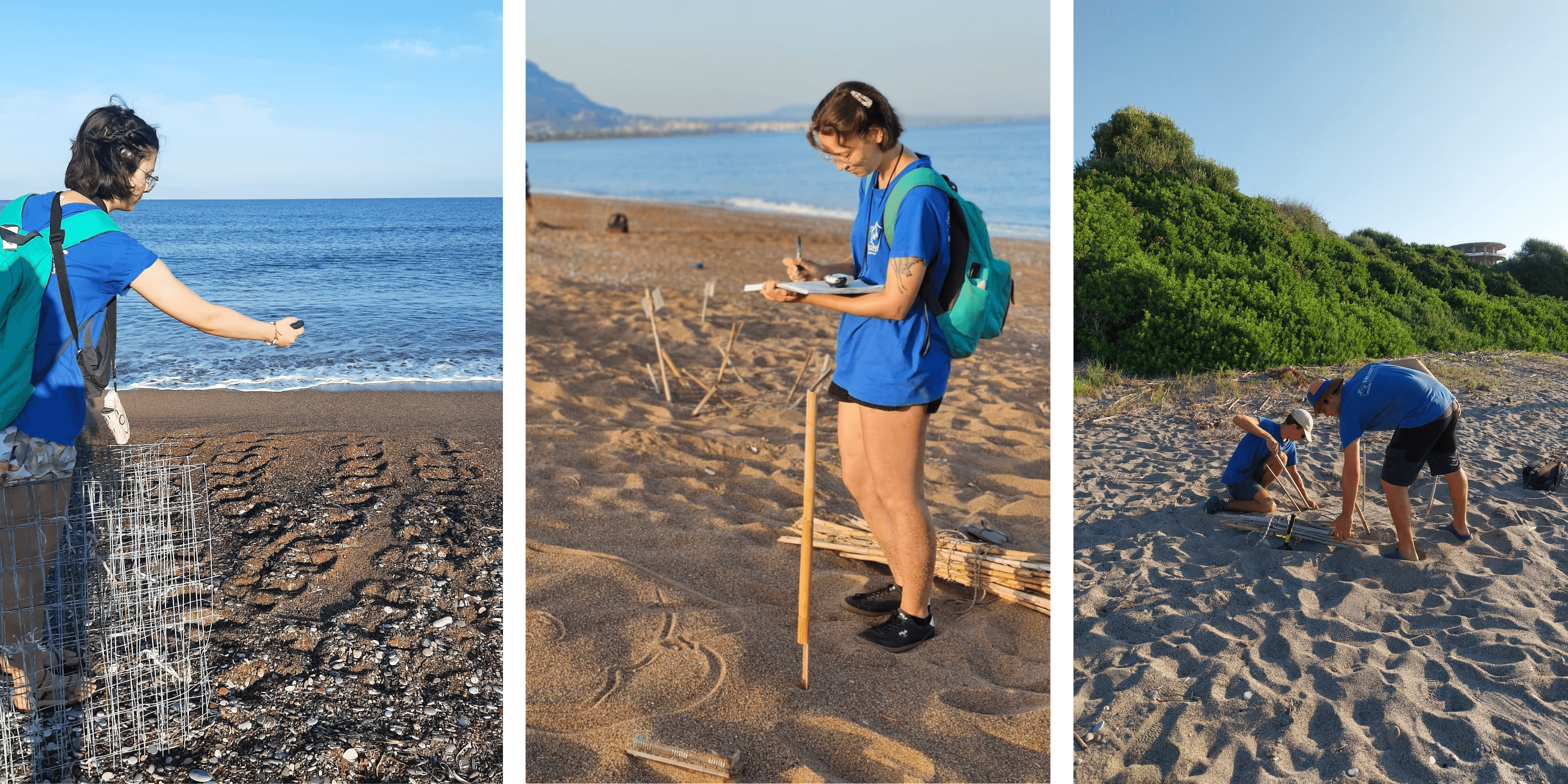 monitoring in kyparissia.png