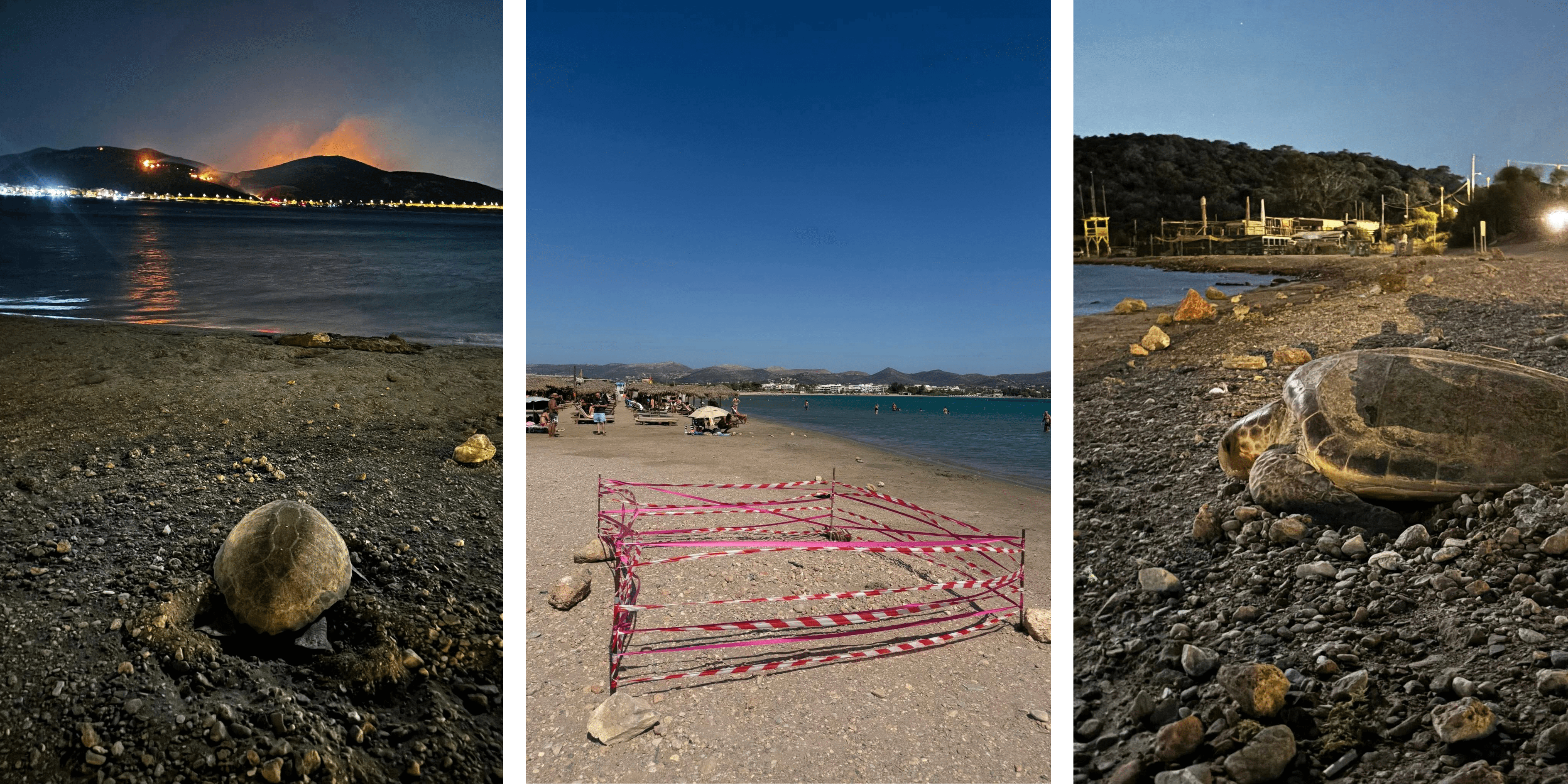 nest anavyssos
