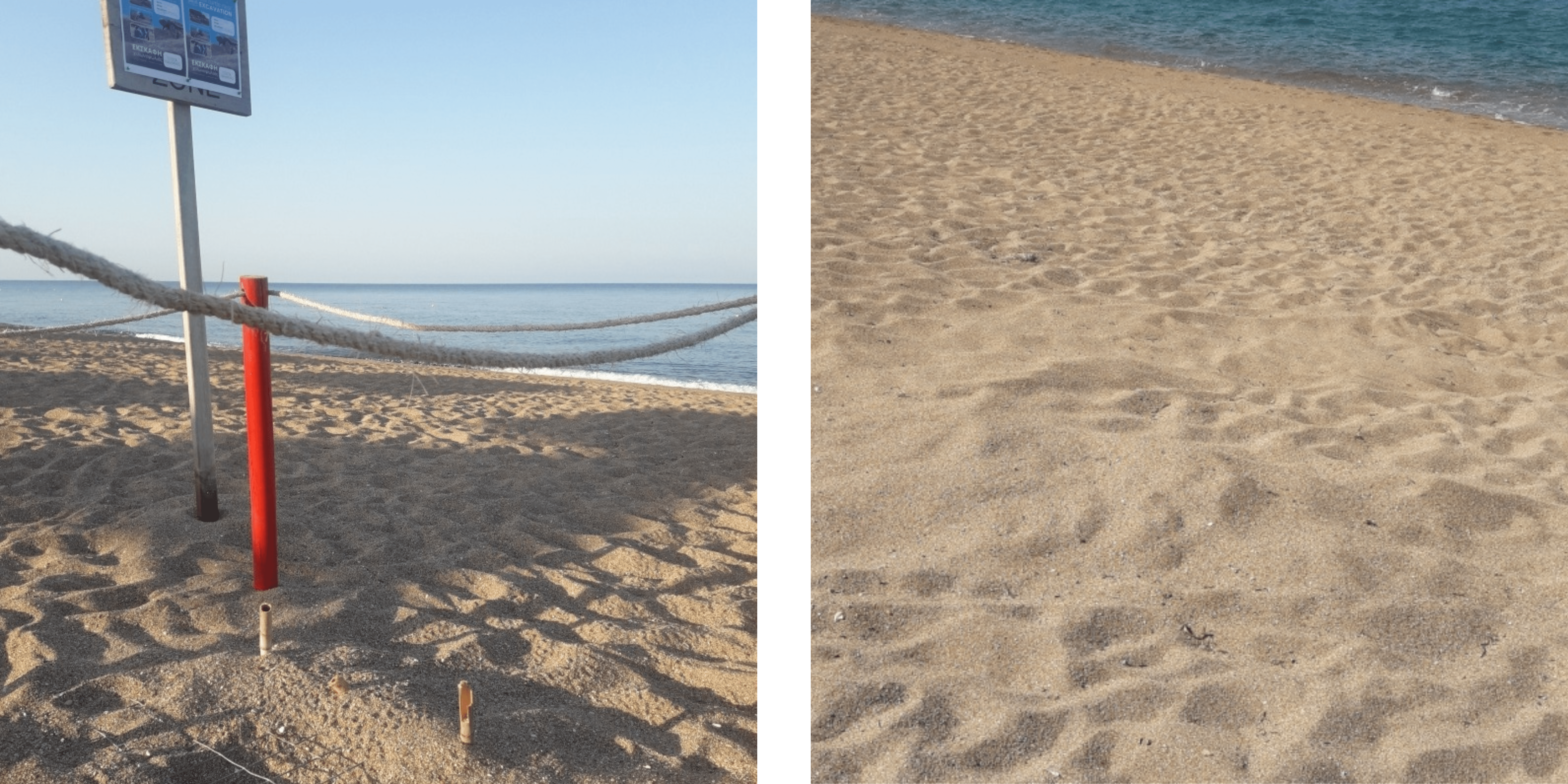 Nests at Romanos beach 