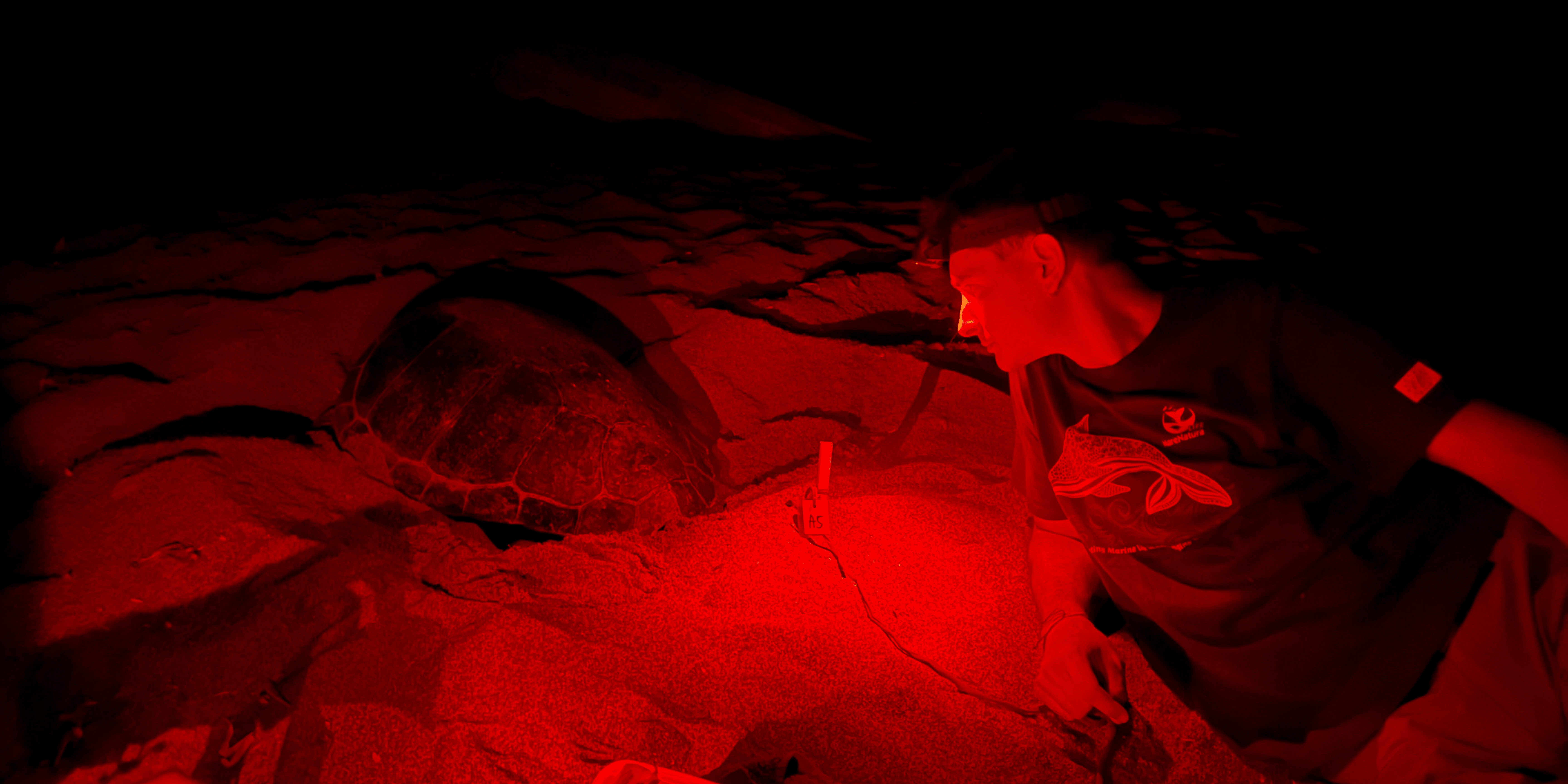 night survey in messara.png