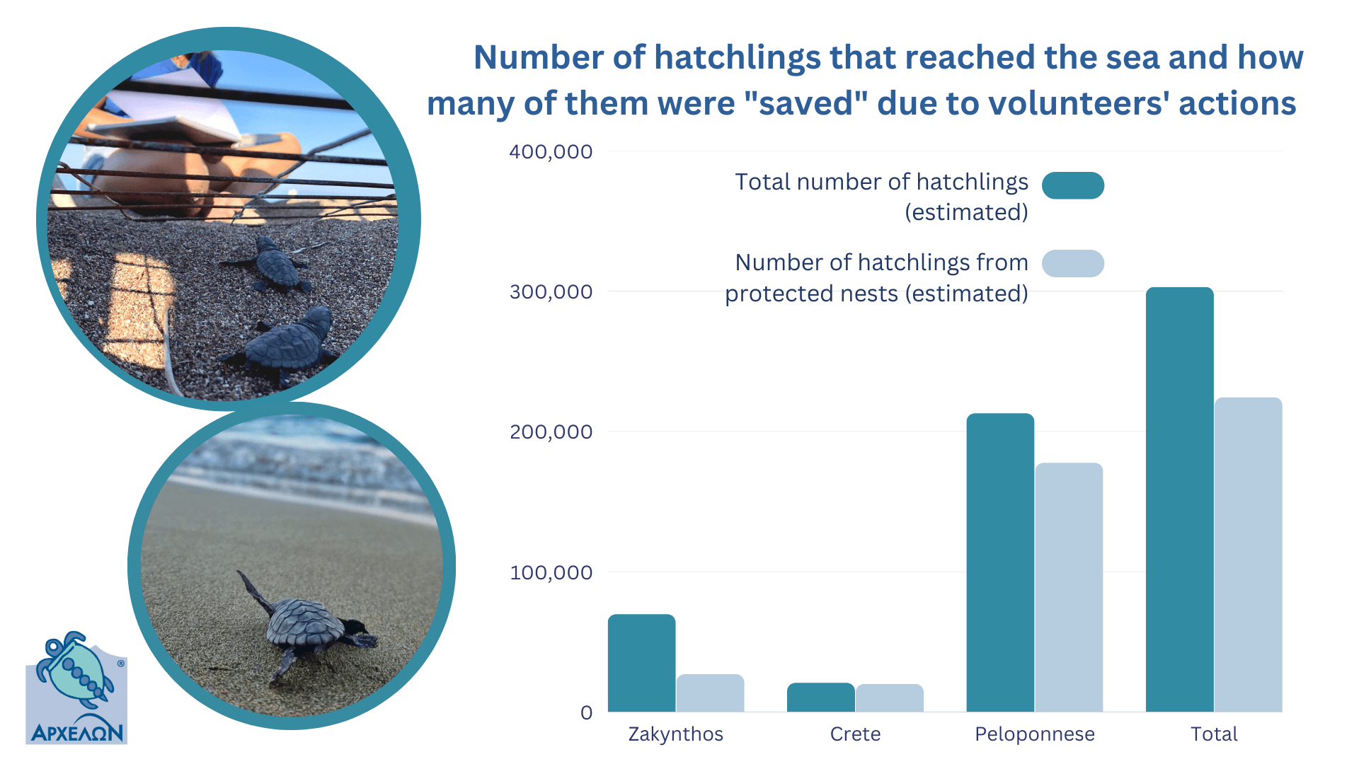 number-of-hatchlings-that-reached-the-sea-and-how-many-of-them-were-saved-due-to-volunteers-actions-2022.png