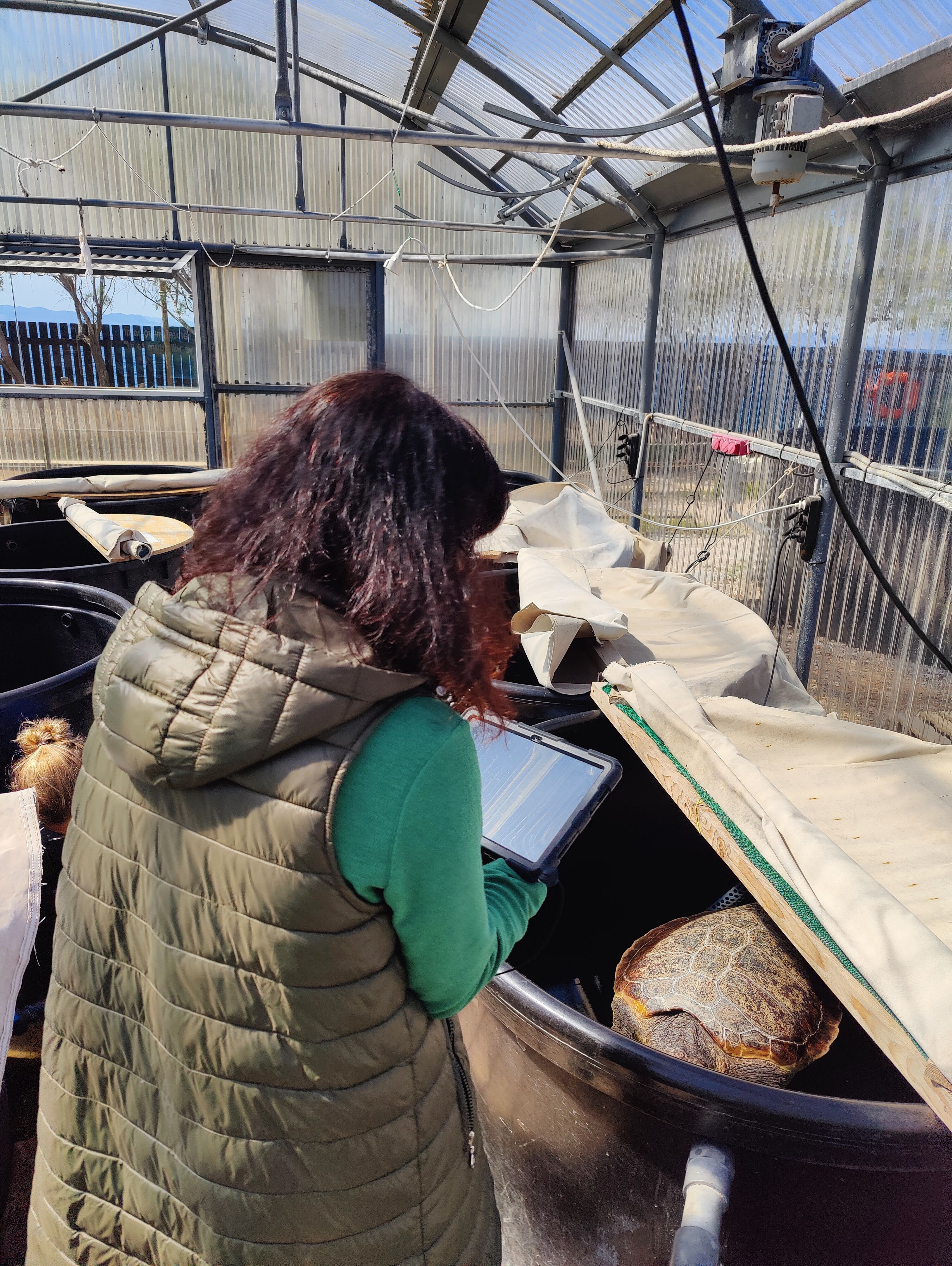 The education officer of ARCHELON giving an online tour to the rescue centre