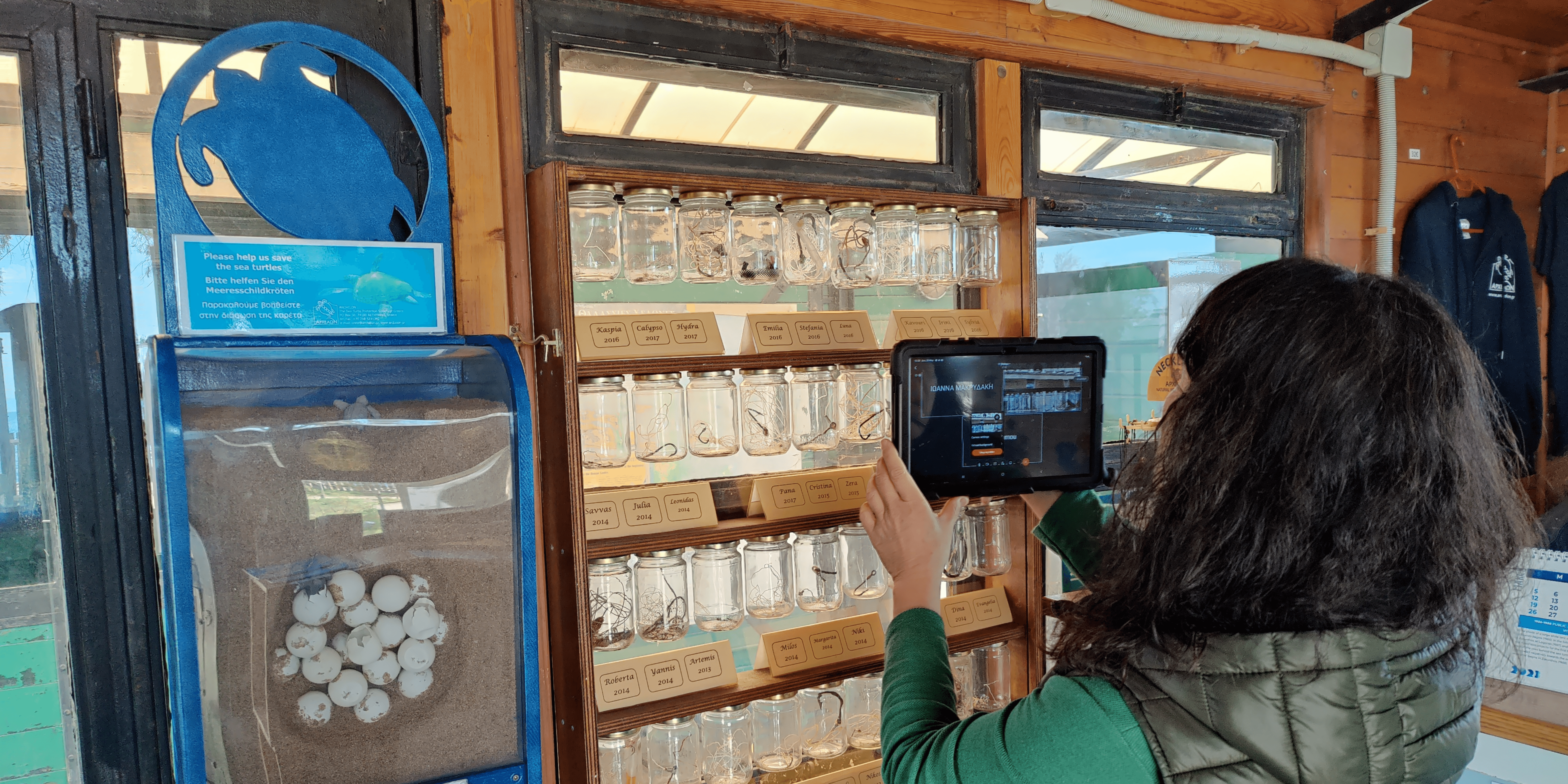 Online tour for the sea turtle rescue centre