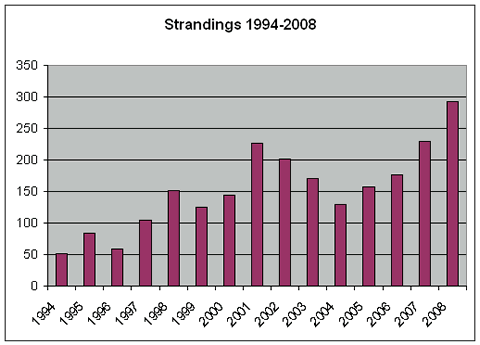 turtle-strandings-hit-a-record-in-2008-Strandings08Eng.gif
