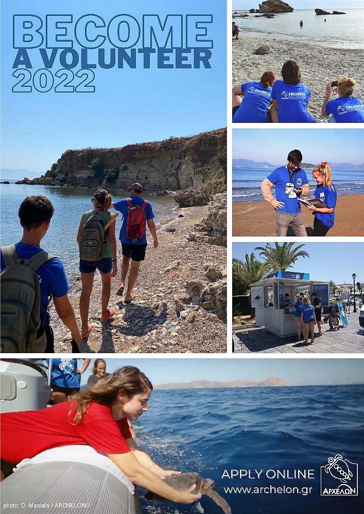 volunteer-for-the-sea-turtle-projects-in-2022-poster_2022_eng.jpg